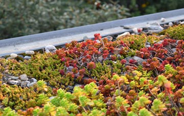 the cost of Mascle Bridge green roof installation
