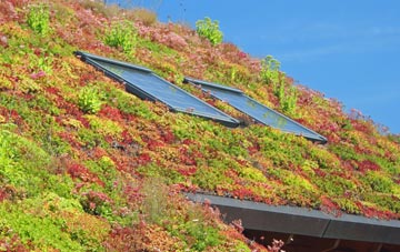 Mascle Bridge living roof systems
